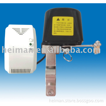 Gas and CO detector